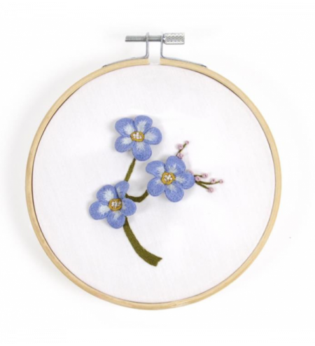 Myosotis TB237