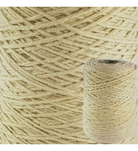 Berta cono hueso 2015